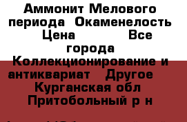 Аммонит Мелового периода. Окаменелость. › Цена ­ 2 800 - Все города Коллекционирование и антиквариат » Другое   . Курганская обл.,Притобольный р-н